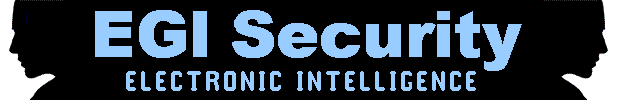 Electronic Intelligence - EGI Security
