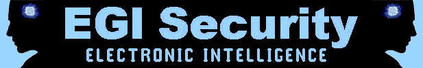 EGI Security - Electronic Intelligence